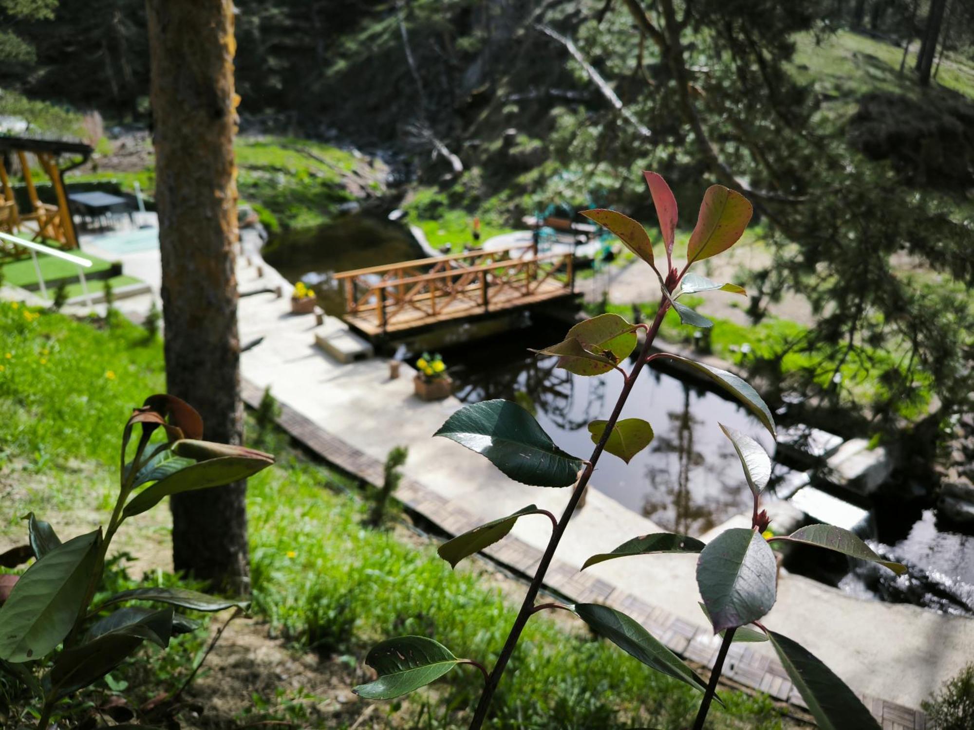 Divčibare Vila Pogled Wellness I Spa מראה חיצוני תמונה